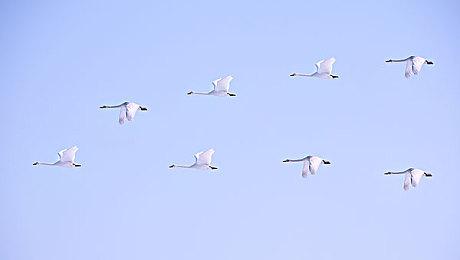 DNF系列第三款新游开发中 将是开放世界动作RPG